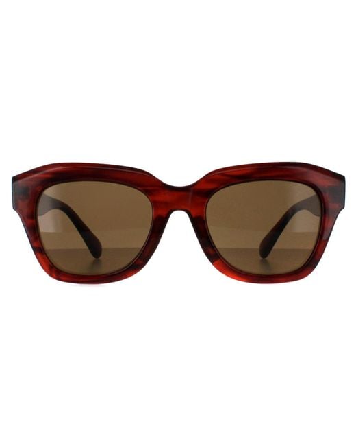 Smarty Brown Square Demi Transparent Sb2311