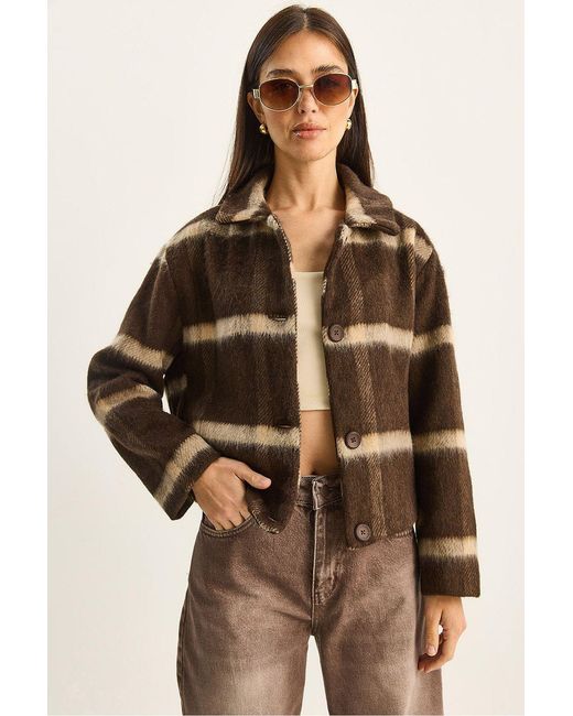 Bianco Lucci Brown Striped Textured Button-Front Cropped Jacket
