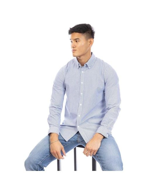 Peter Werth Button-Down Overhemd (Marine, Wit) in het Blue voor heren