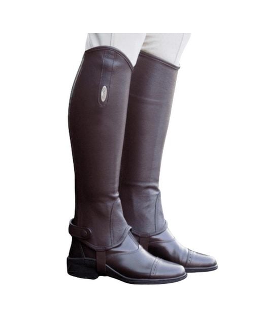 Brogini Purple Adult Vicenza Leather Tall Gaiters