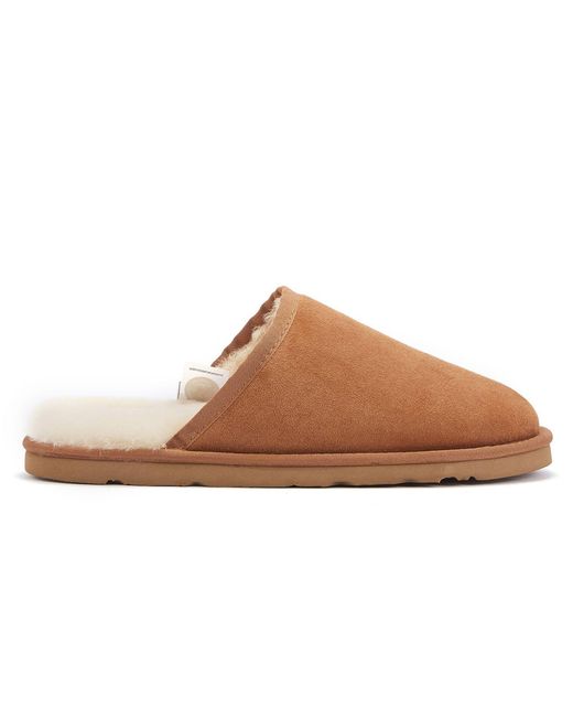 Australia Luxe Brown Mool Chestnut Slippers for men