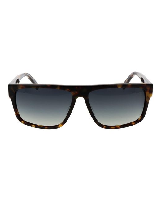 Timberland Black Brown Acetate Sunglasses for men