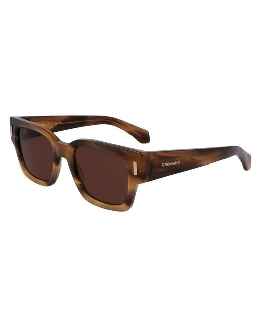 Ferragamo Brown Acetate Sunglasses for men
