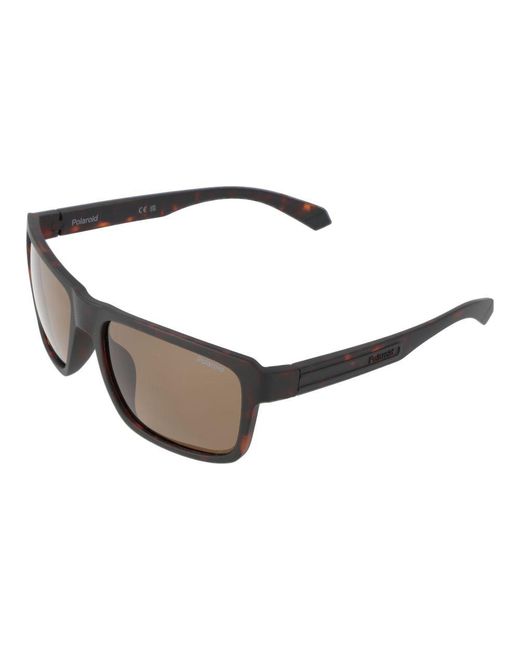 Polaroid Multicolor Brown Plastic Sunglasses for men
