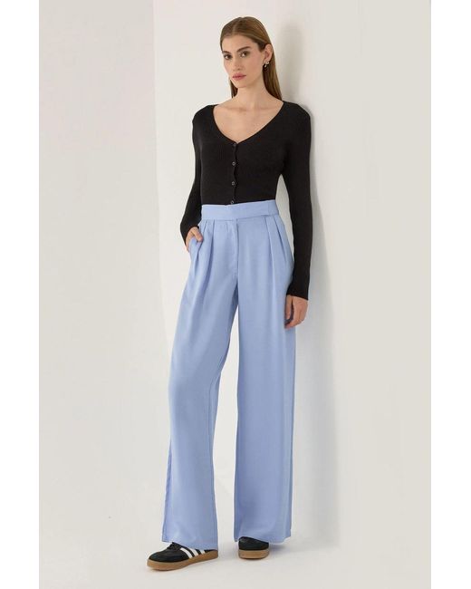 Hiccup Blue Pleated Pants