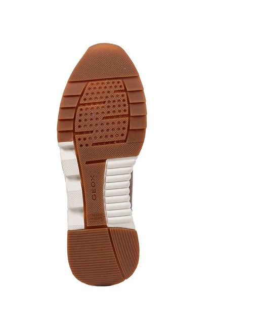 falena abx geox