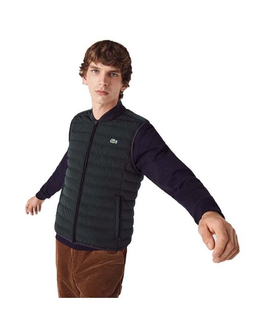 lacoste jacket sale
