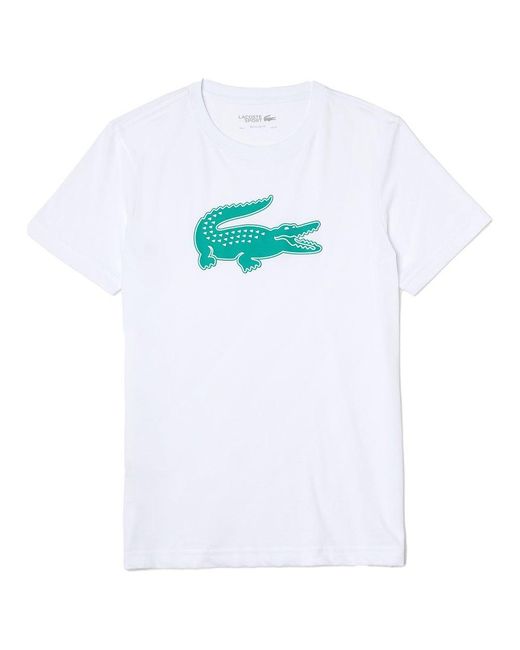 Lacoste Cotton Th2042-00 Short Sleeve T-shirt in White / Dark Green ...