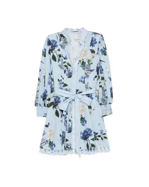 Alice + Olivia Blue Dresses