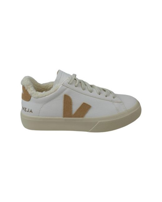 Veja Gray Sneakers