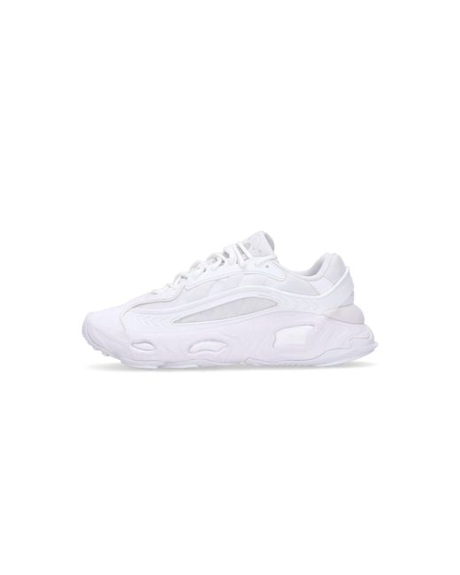 Adidas White Oznova Low Shoe for men