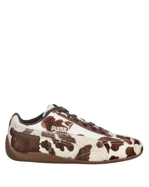 PUMA Brown Sneaker