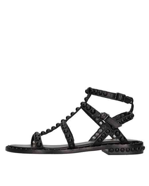 Ash Black Niedrig Schuhe Schwarz