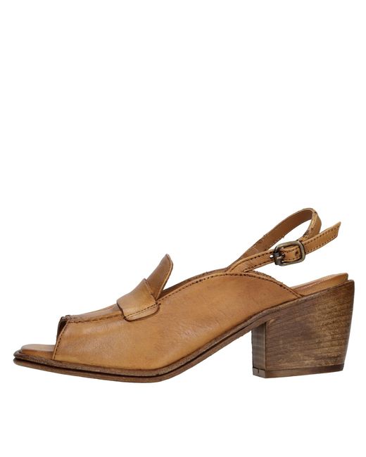 Hundred 100 Brown Sandelblumen
