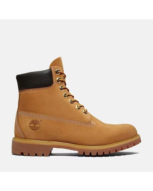 Timberland Brown Tronchetto And Booty Tb1100617131 for men