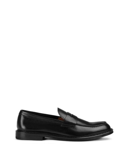 Doucal's Doucal's Doucal's de hombre de color Black
