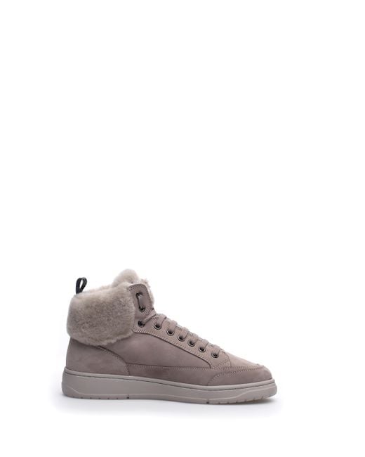 Baskets Roses Candice Cooper en coloris Multicolor