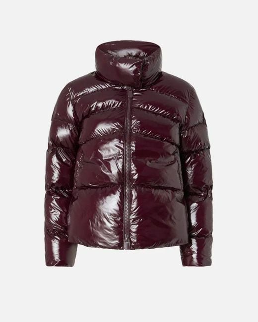 Pinko Women's Purple Outerwear And Jackets 101598 A2P7 Rr7