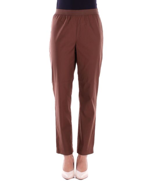 Alpha Studio Chocoladebroek in het Red