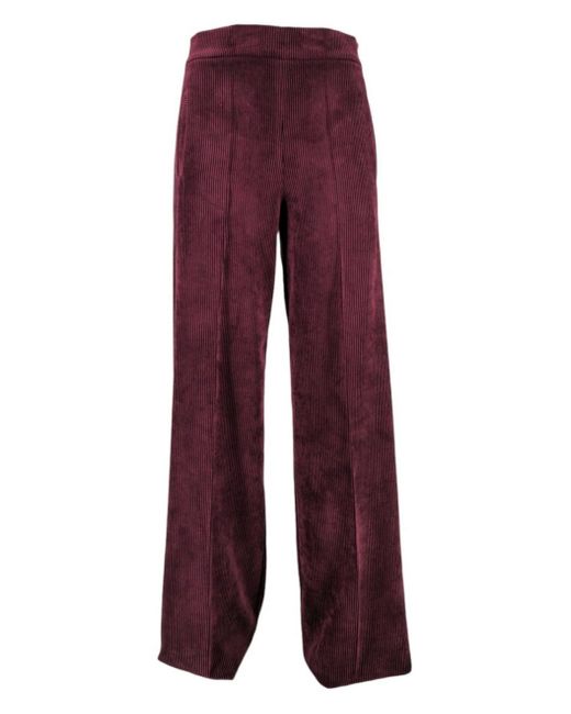 D.exterior Broek Bordeaux in het Red