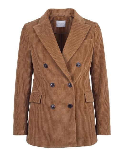 Circolo 1901 Brown Jacket