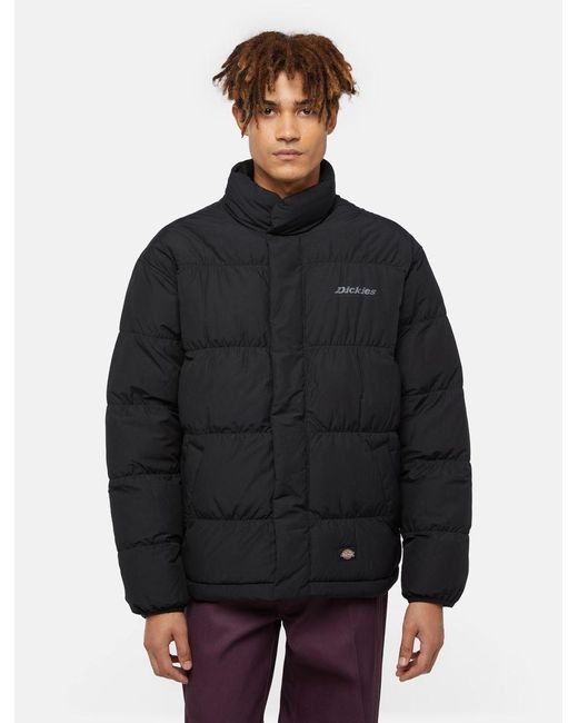 Dickies Scobey Donsjack Maat in het Black voor heren