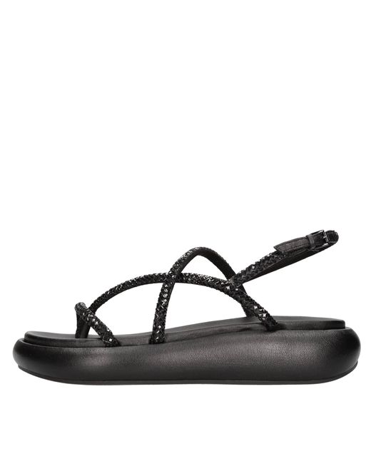Sandalias Negras Ash de color Black