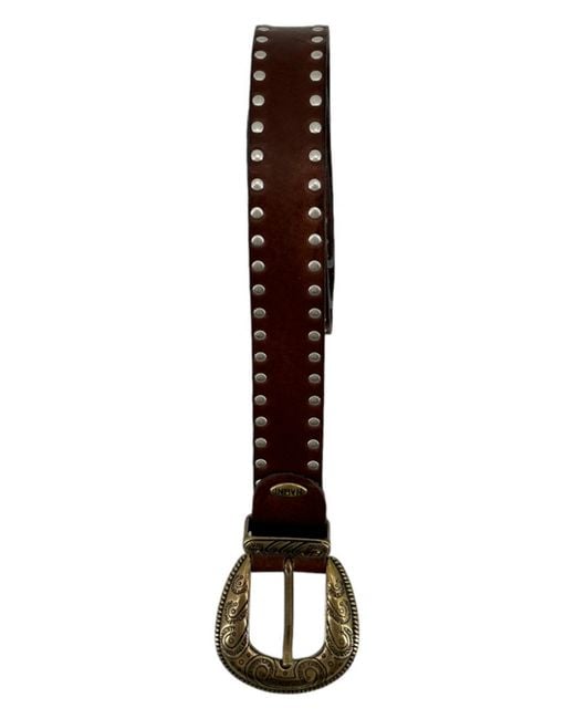 Nanni Milano Brown Belts Dark