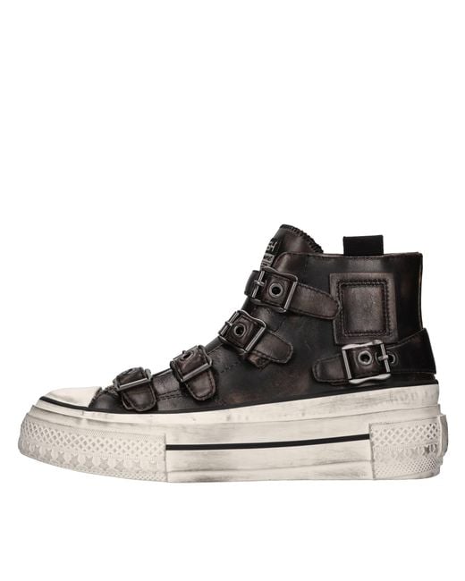 Ash Black Sneakers