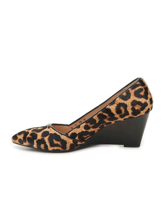 franco sarto frankie
