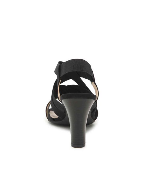 lifestride charlotte