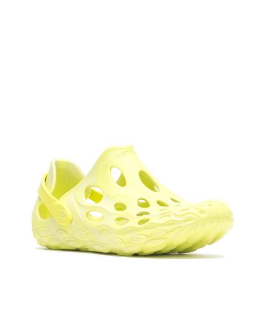 dsw hydro moc