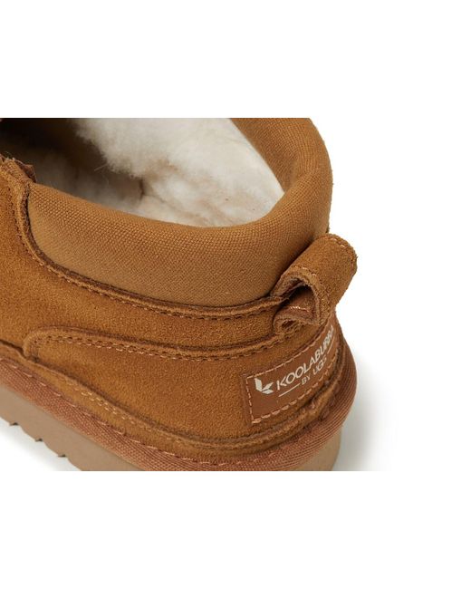 Ugg Brown Advay Bootie