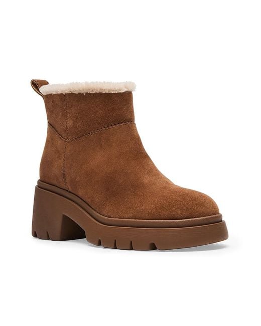 Steve madden deals royce