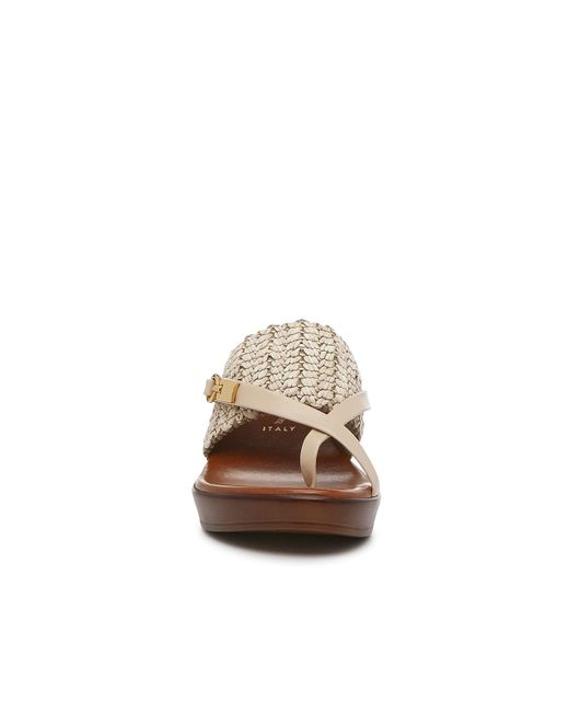 Italian Shoemakers Brown Adalee Wedge Sandal
