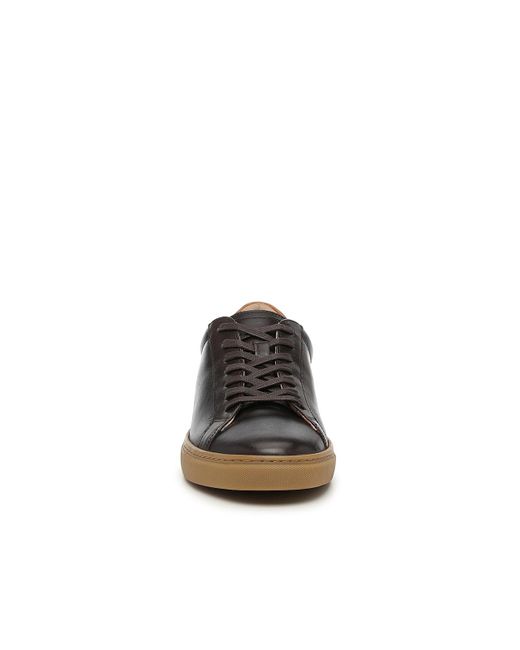 Vince Camuto Brown Cowon Court Sneaker for men