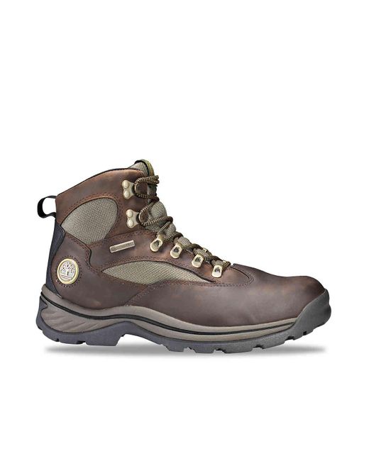 timberland chocorua trail mid gtx