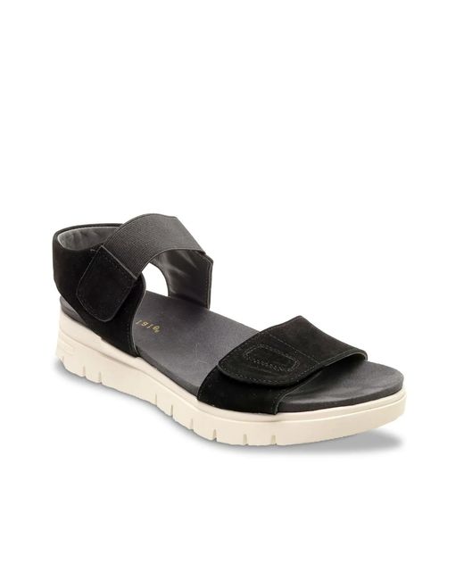 David Tate Black Pixie Sandal