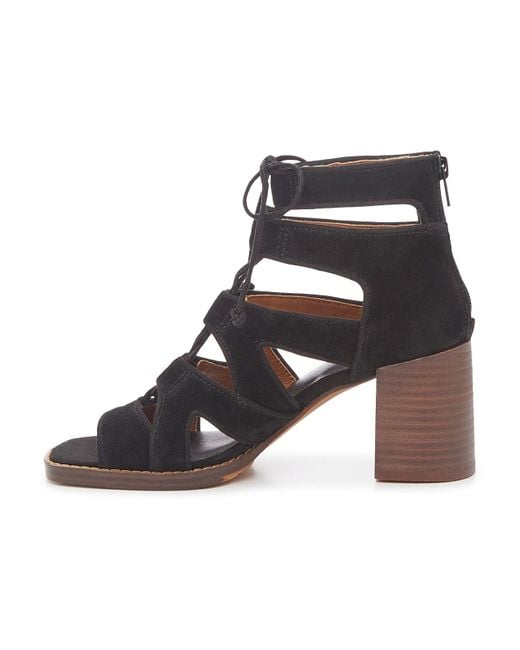 Dsw brodie shop