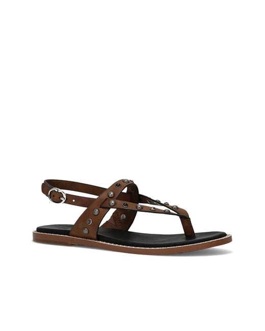Frye & Co. Black Bucky Sandal