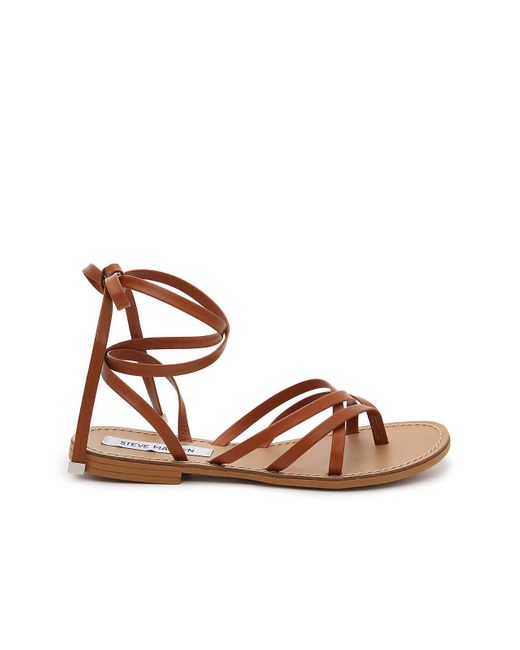 steve madden greece sandals dsw