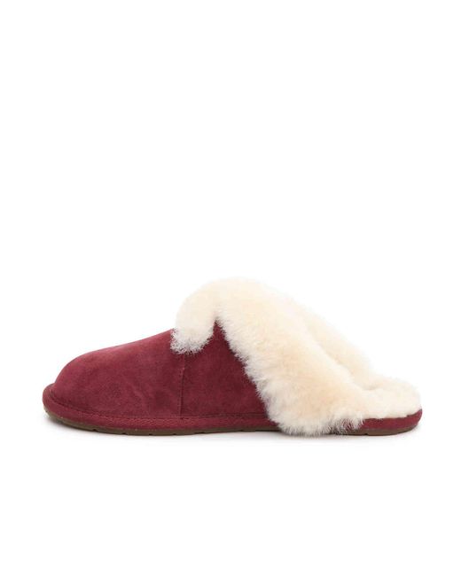milo scuff slipper