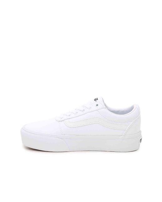 vans ward platform canvas