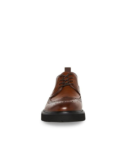 Steve Madden Emeri Wingtip Oxford in Brown for Men | Lyst display picture 1