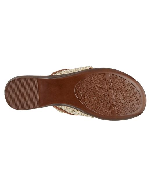 Italian Shoemakers Brown Camy Sandal