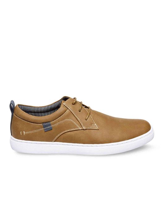 Steve Madden Instax Sneaker 2024 www tofrei