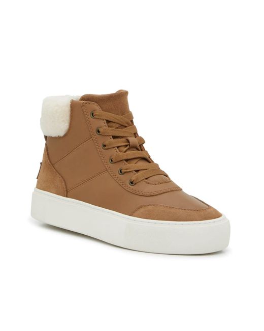 Ugg Brown Cakewalk Hightop Sneaker
