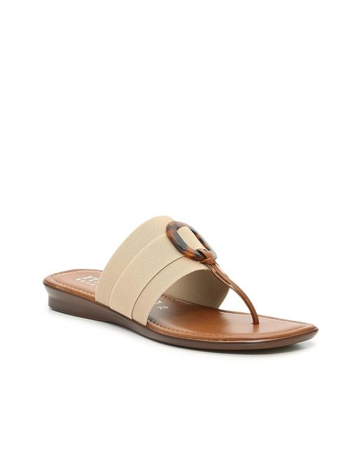 Italian Shoemakers Bucky Sandal in Brown | Lyst