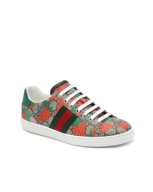 Gucci Multicolor New Ace Sneaker