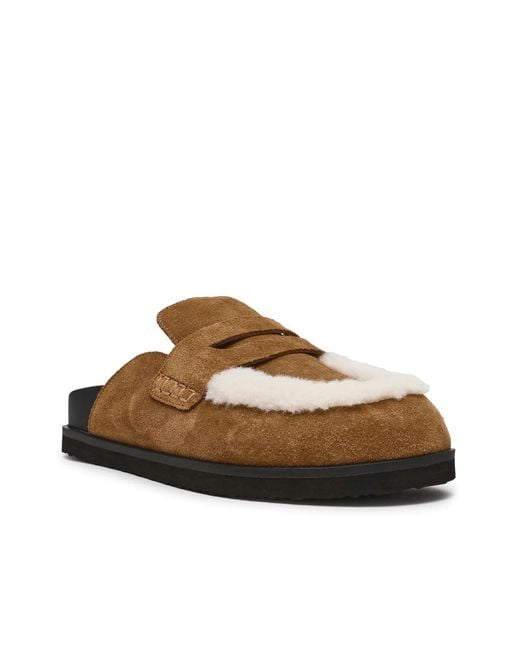 Steve Madden Brown Tomlin Cozy Clogs
